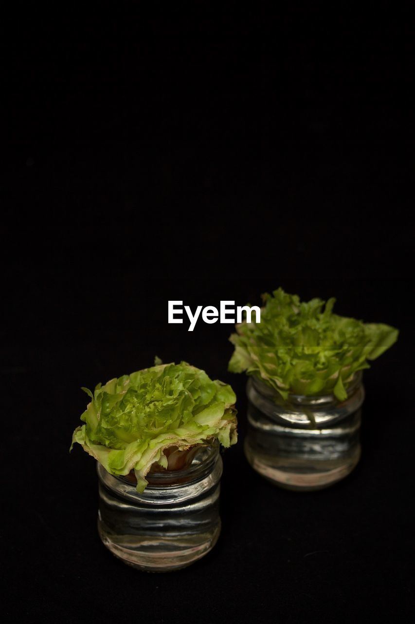 CLOSE-UP OF SALAD IN PLATE