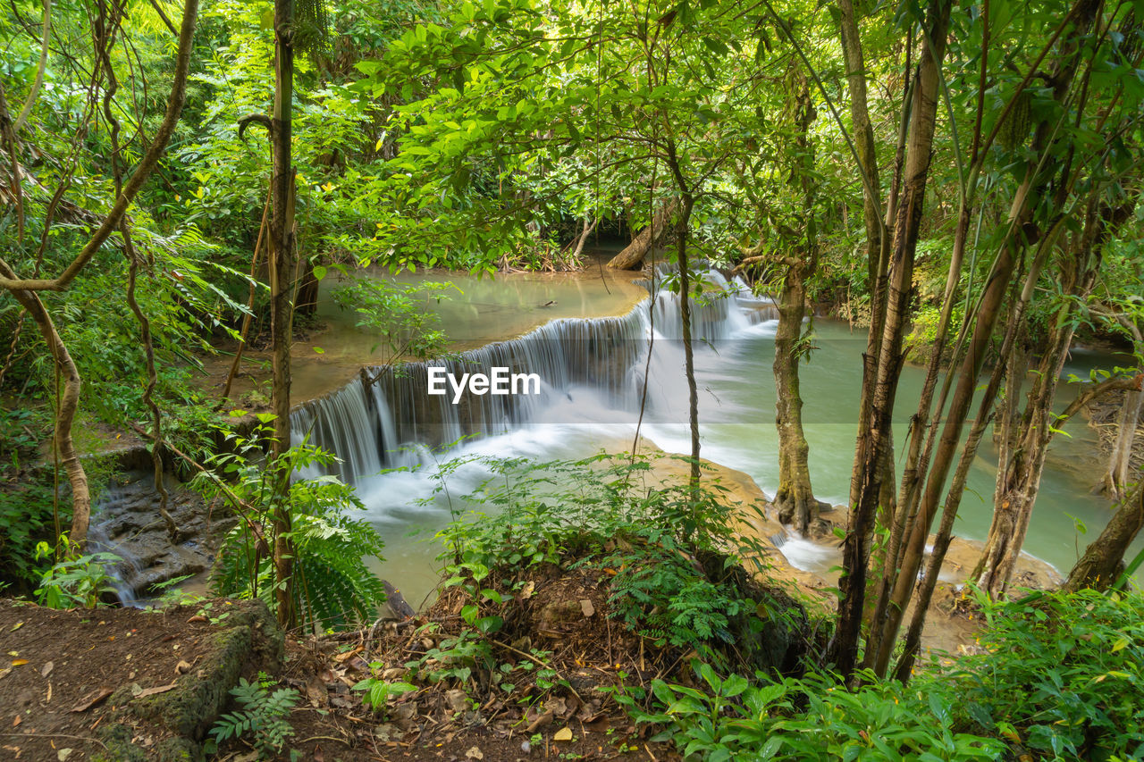 view of waterfall in forest