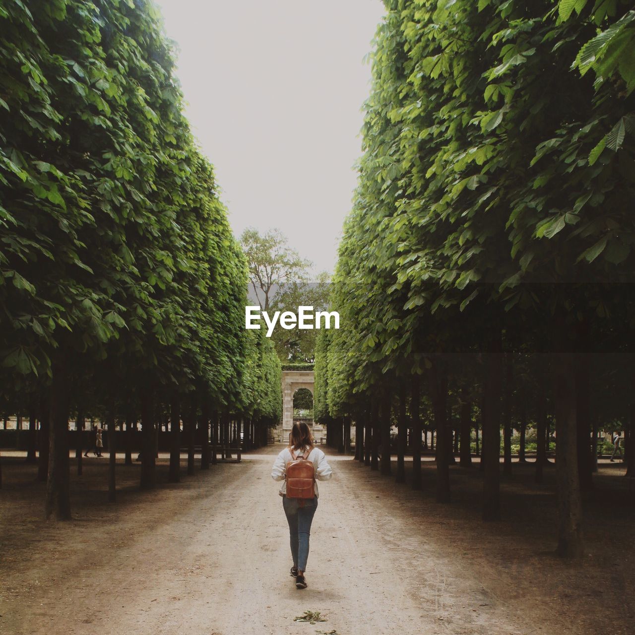 Rear view of woman walking on footpath amidst trees