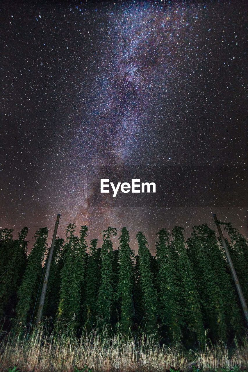 SCENIC VIEW OF TREES ON FIELD AGAINST SKY