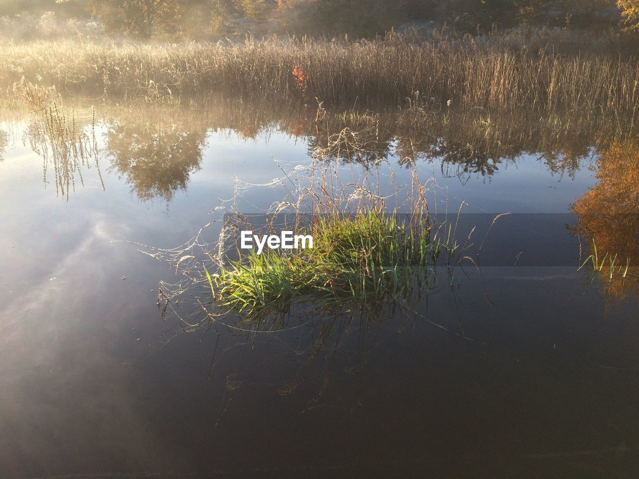 SCENIC VIEW OF LAKE