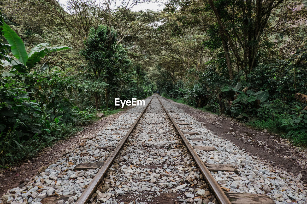 Train tracks on the way from hydroelectrica to aguas calientes in peru