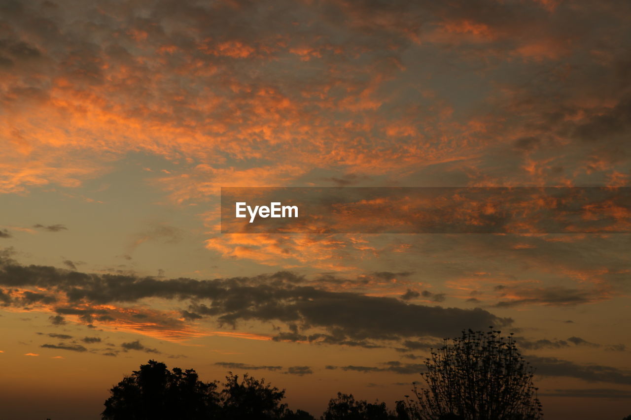 sky, tree, cloud, sunset, beauty in nature, plant, afterglow, silhouette, scenics - nature, tranquility, nature, orange color, red sky at morning, tranquil scene, no people, dramatic sky, environment, dawn, evening, idyllic, outdoors, landscape, non-urban scene, cloudscape, low angle view, land, atmospheric mood, forest