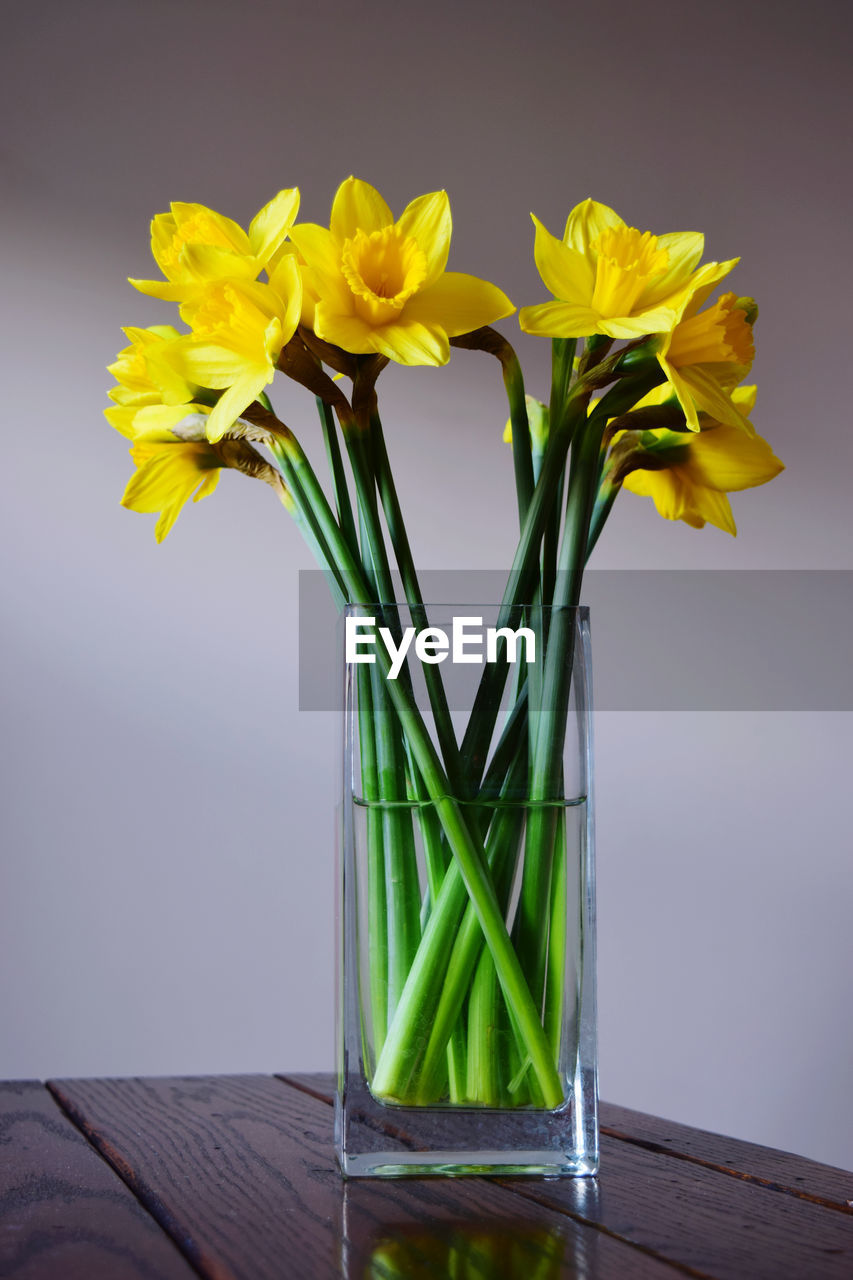 CLOSE-UP OF YELLOW FLOWERS ON TABLE