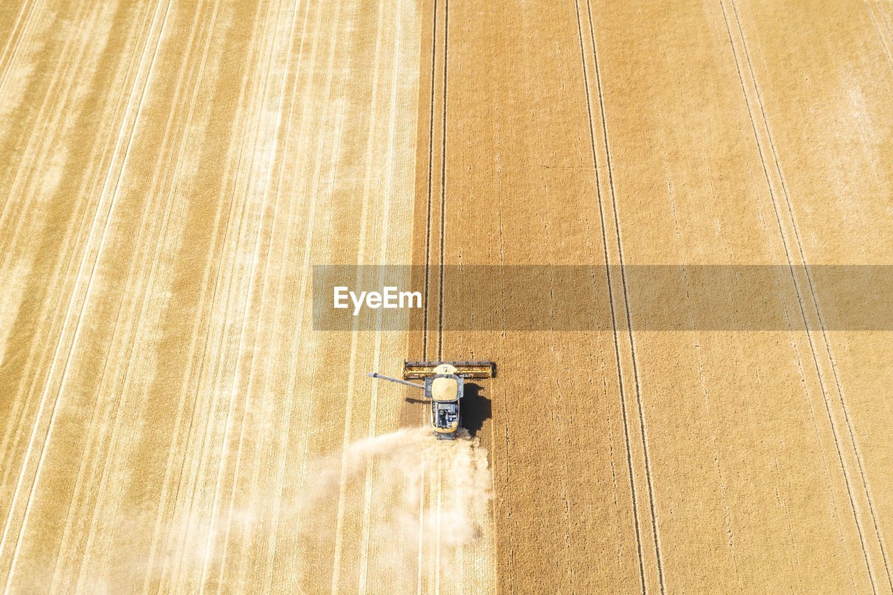 Aerial view of combine harvester in vast wheat field