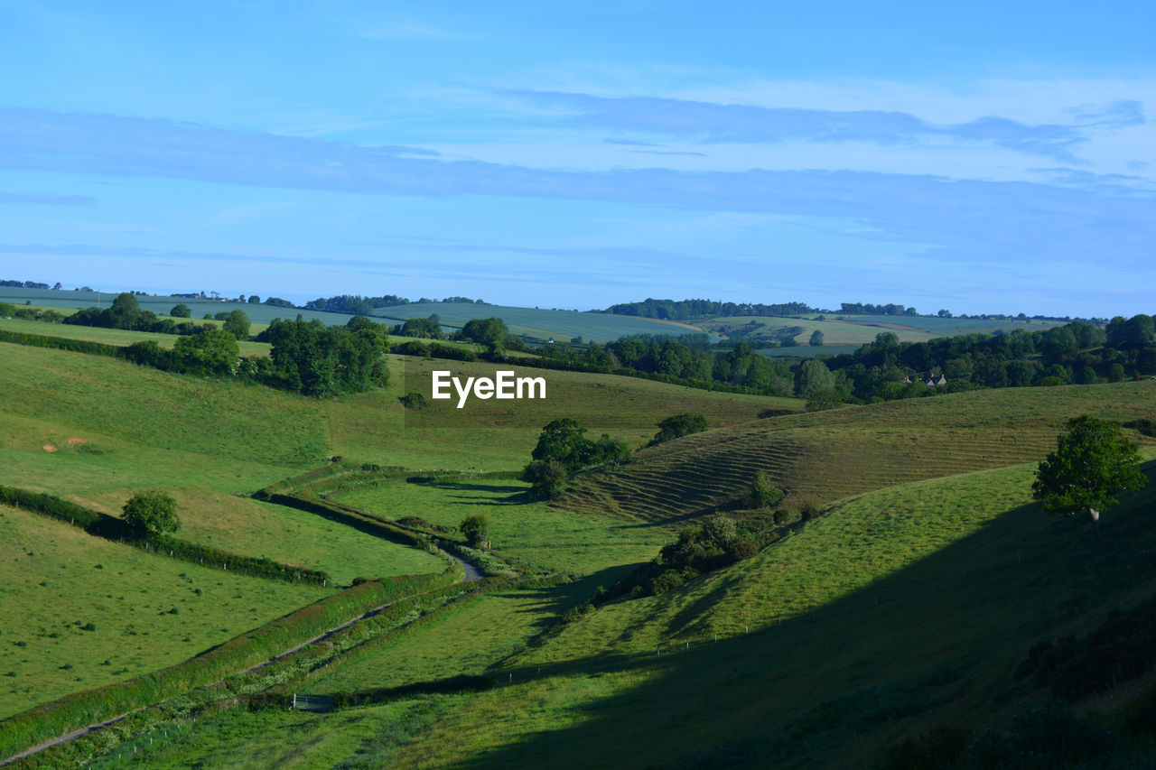 Scenic view of agricultural landscape against sky