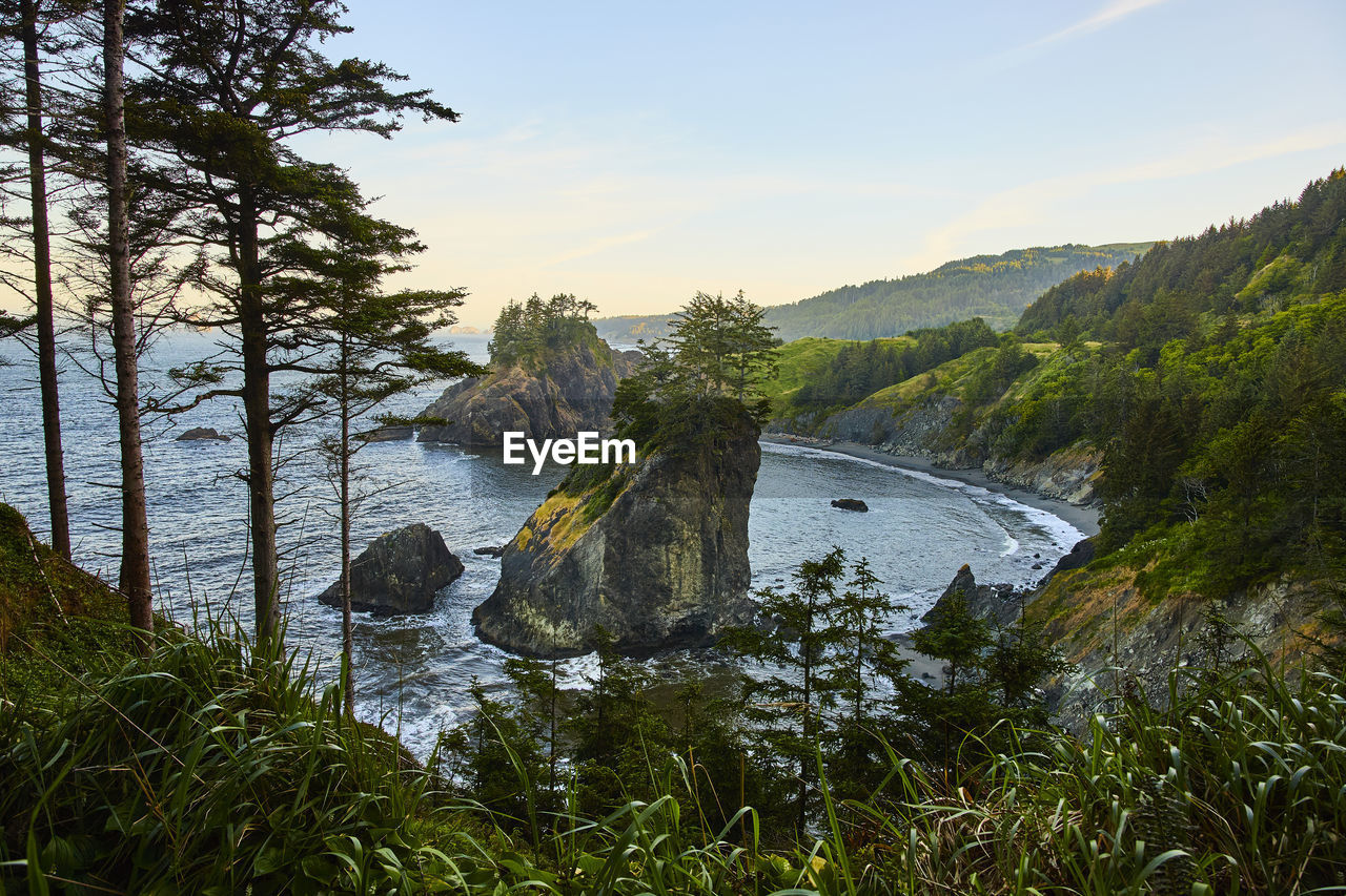 high angle view of trees and mountains against sky