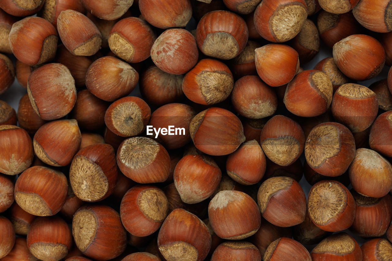 A pile of hazelnuts with shells full frame close-up background