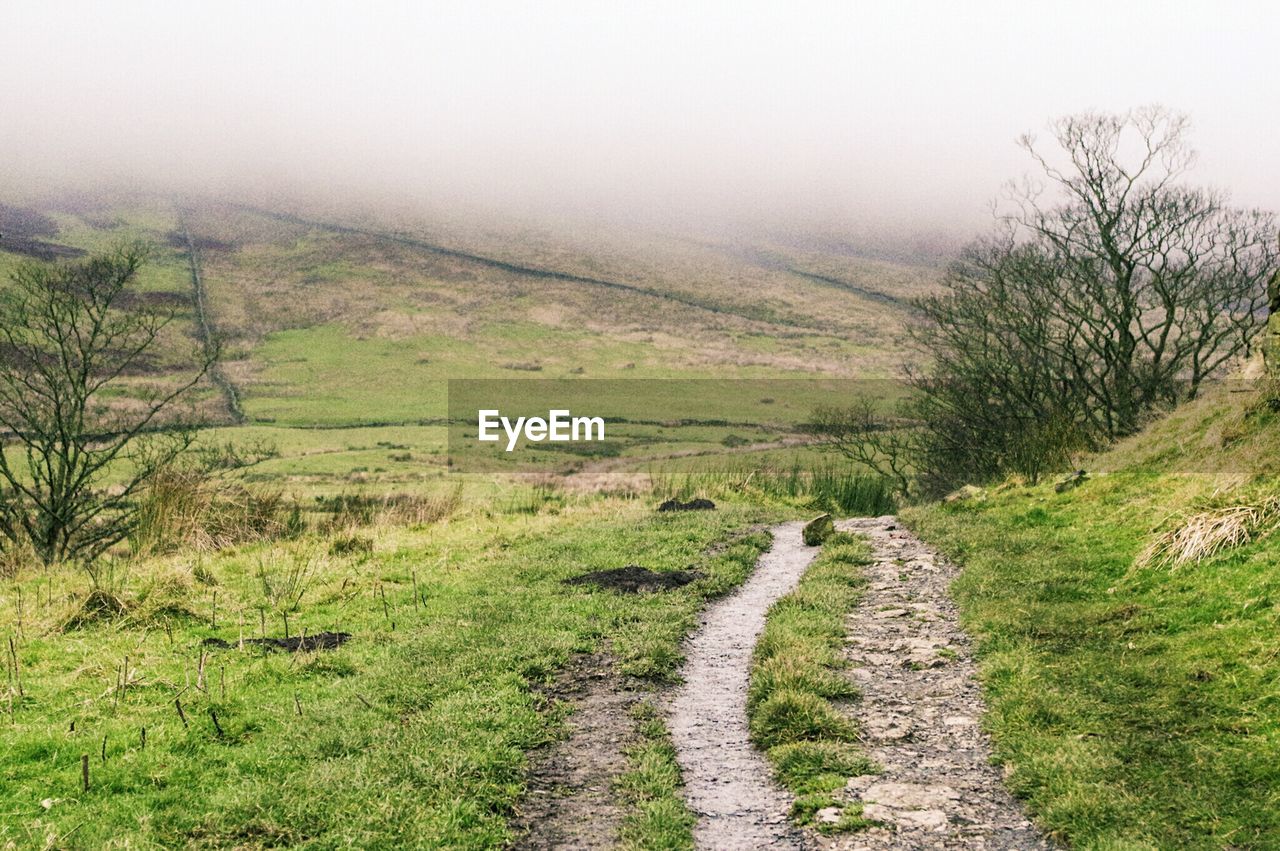 Scenic view of landscape in foggy weather