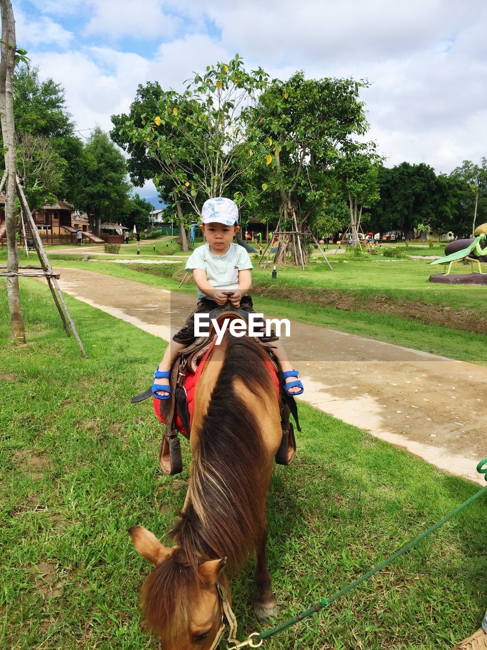 Boy riding horse on field