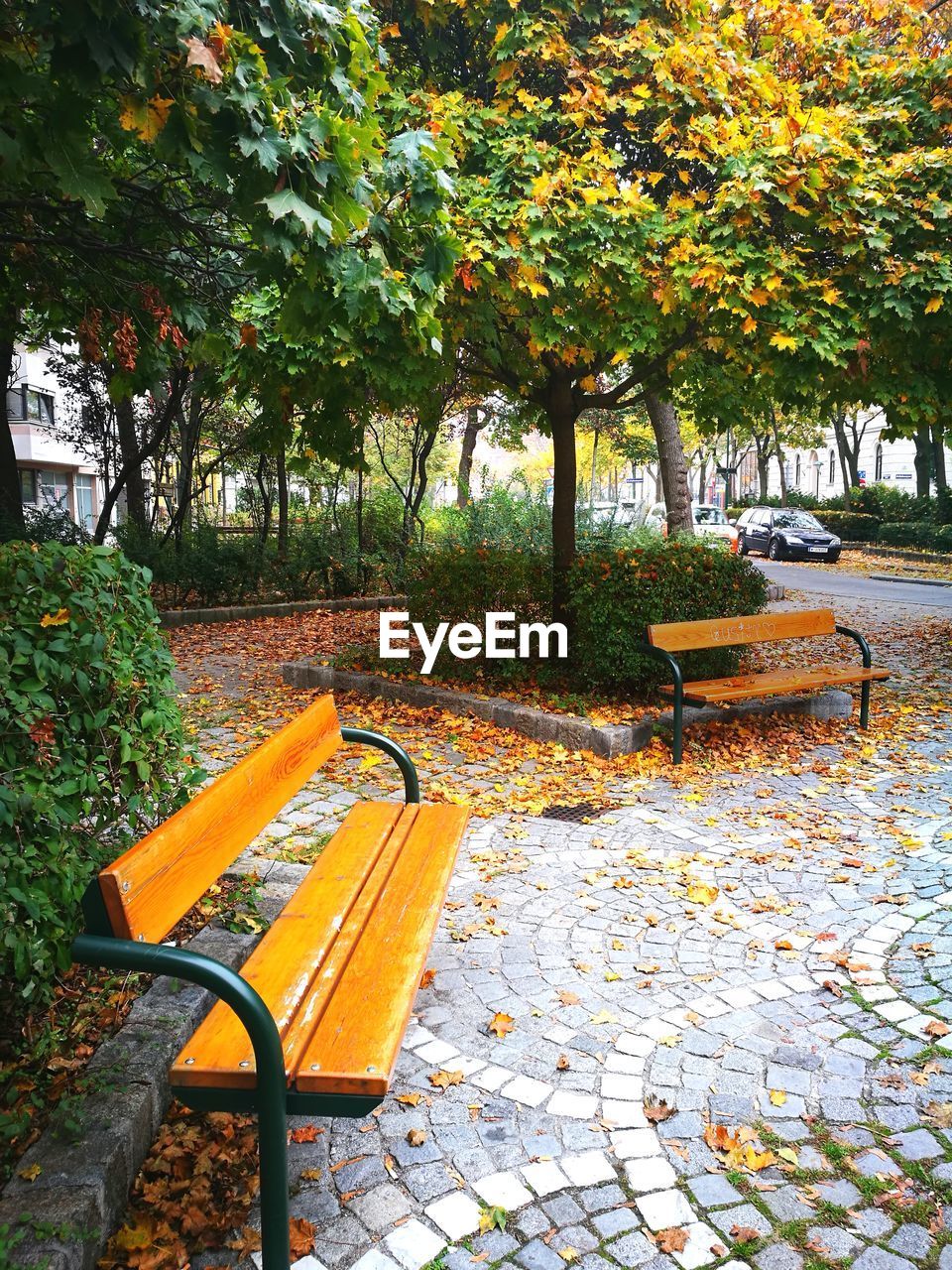 EMPTY CHAIRS IN PARK