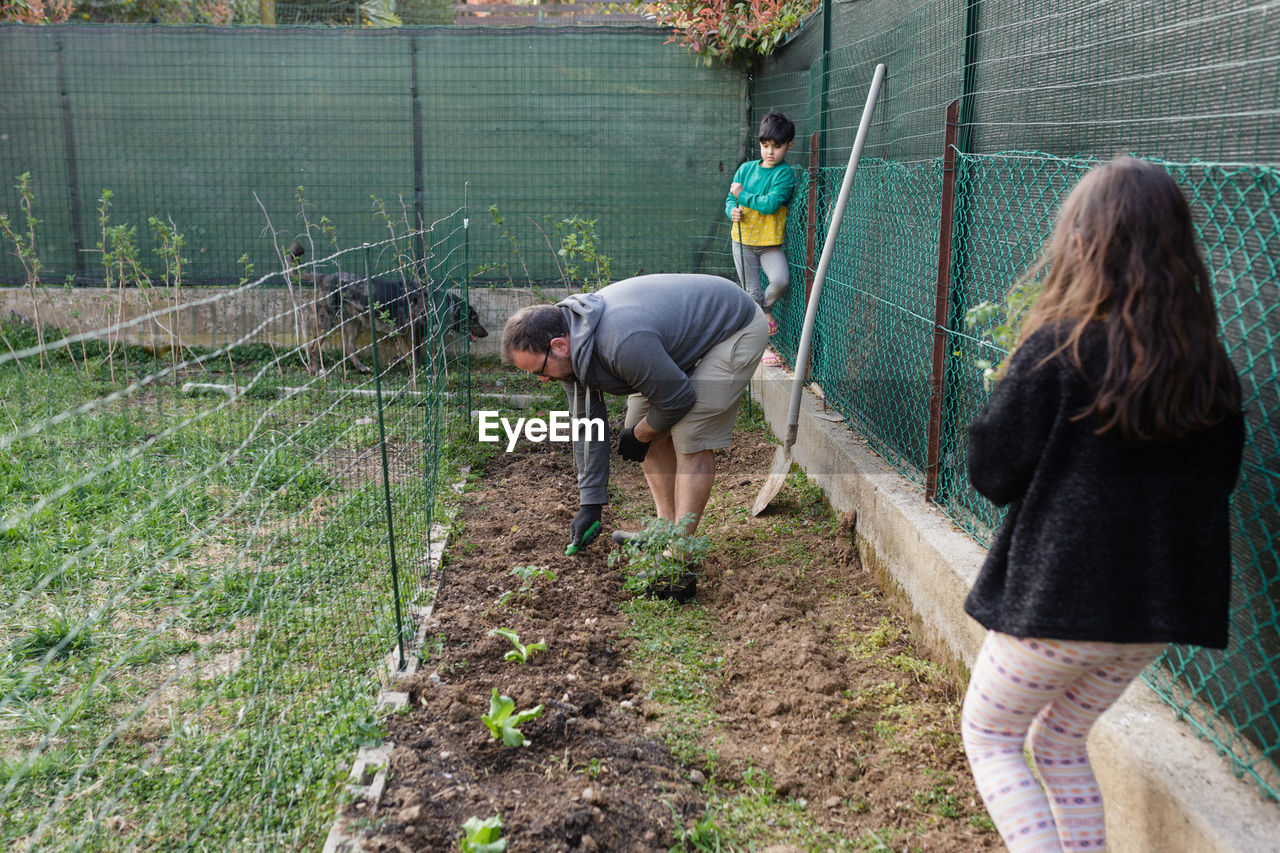 Family with two kids is planting seedlings in the garden