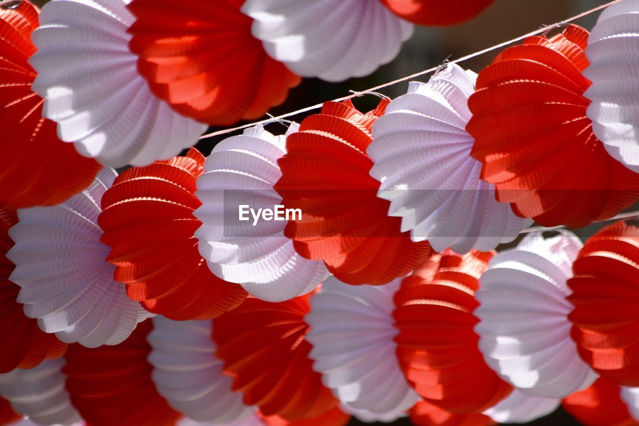 Close-up of rows of paper lanterns