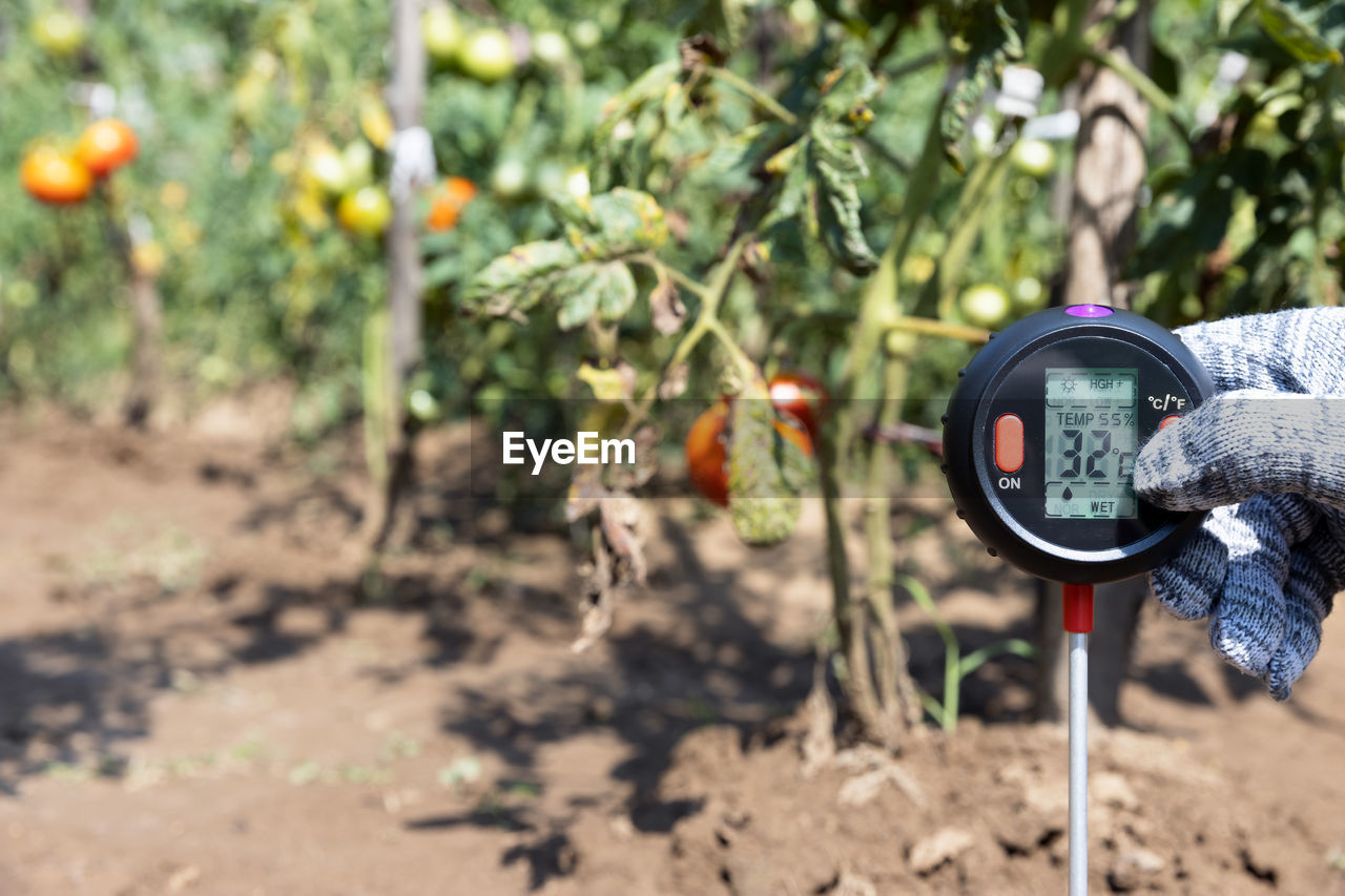 Measuring temperature, moisture content of the soil and environmental humidity in a vegetable garden