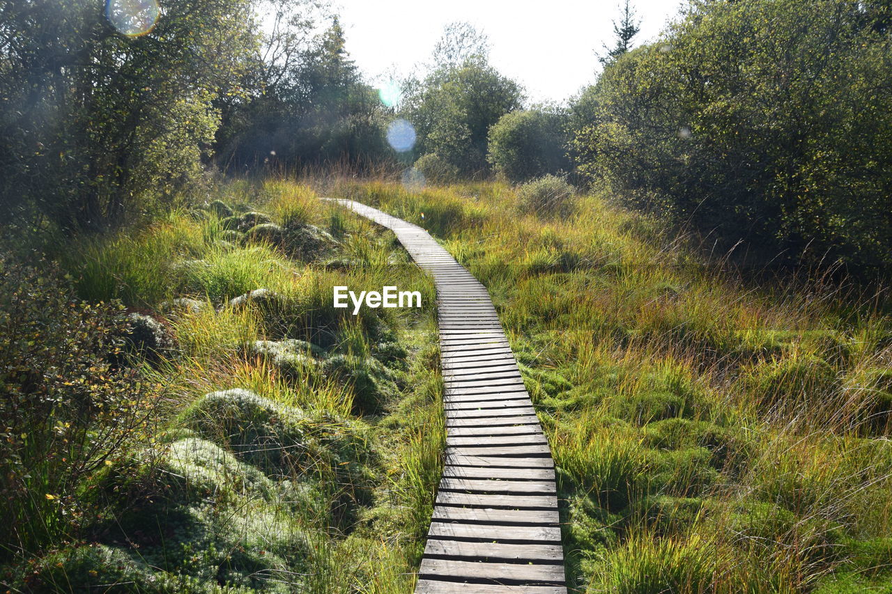 Narrow pathway along countryside landscape