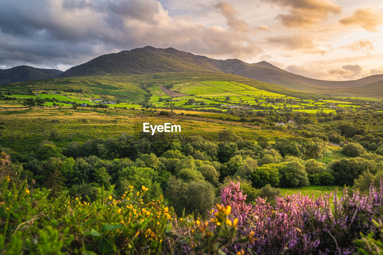 Beautiful sunset with dramatic sky at golden hour over foothill of carrauntoohil mountain, ireland