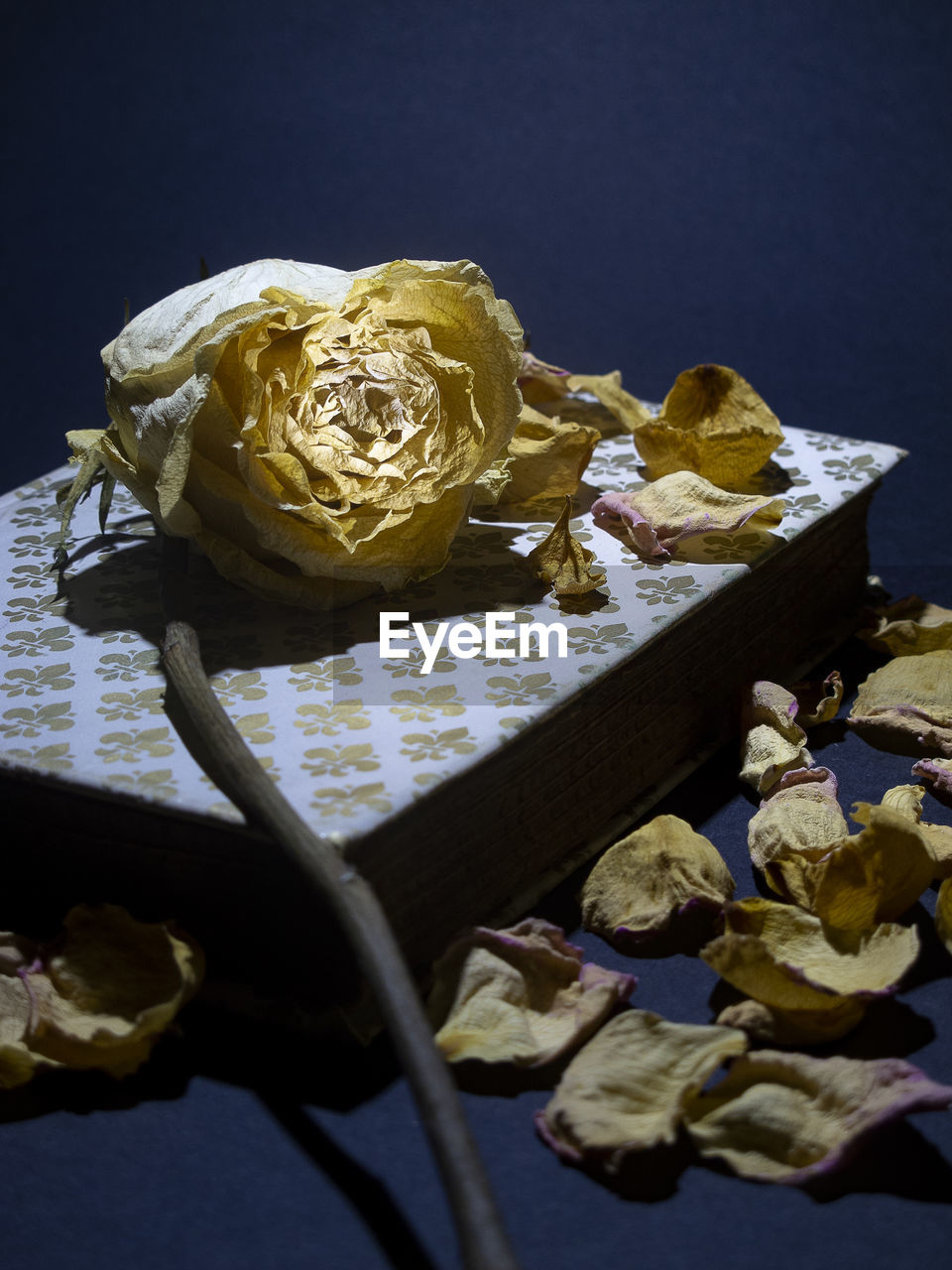 Withered rose placed on the cover of an old closed book, with rose petals scattered around