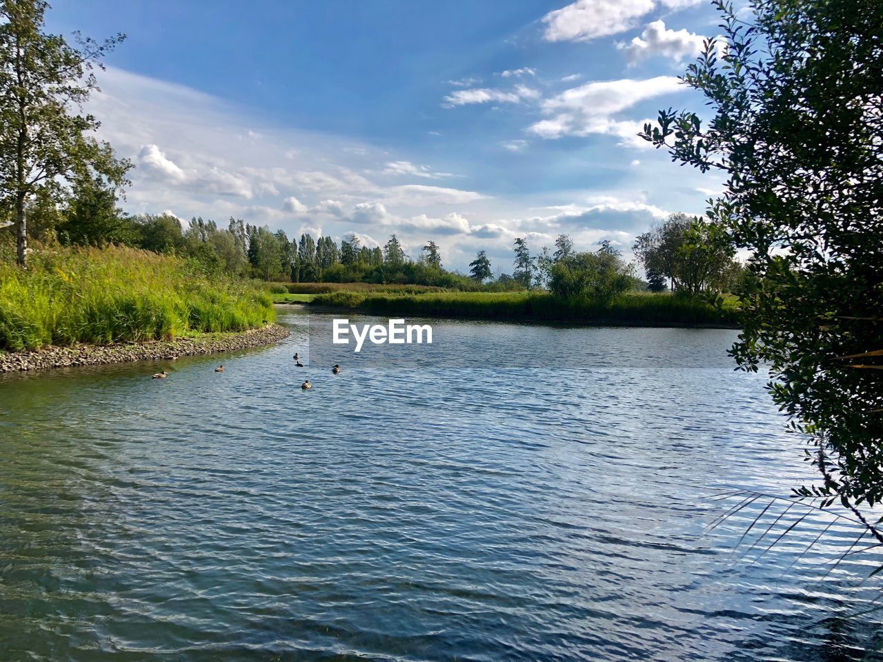 SCENIC VIEW OF LAKE