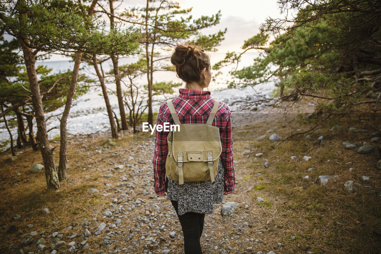 Rear view of hiker walking in forest