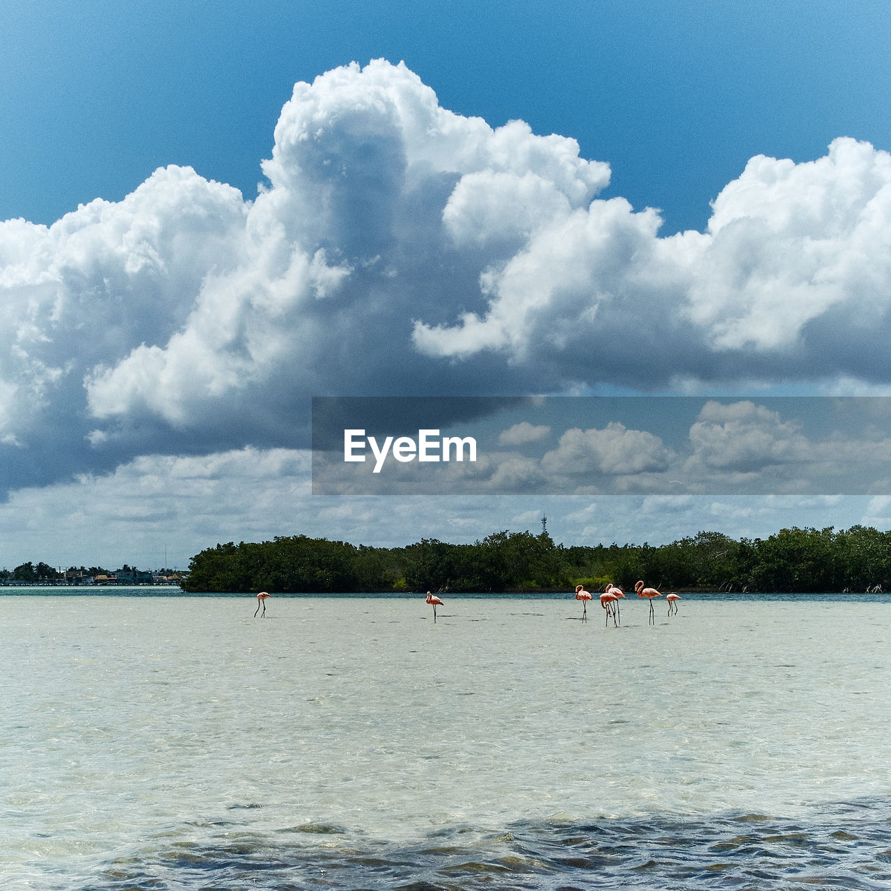 GROUP OF PEOPLE ON SEA SHORE AGAINST SKY