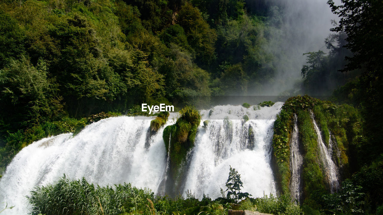 Scenic view of waterfall in forest