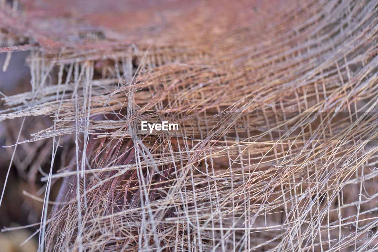 branch, twig, no people, dry, close-up, plant, nature, frost, day, focus on foreground, selective focus, outdoors, grass, fishing, backgrounds