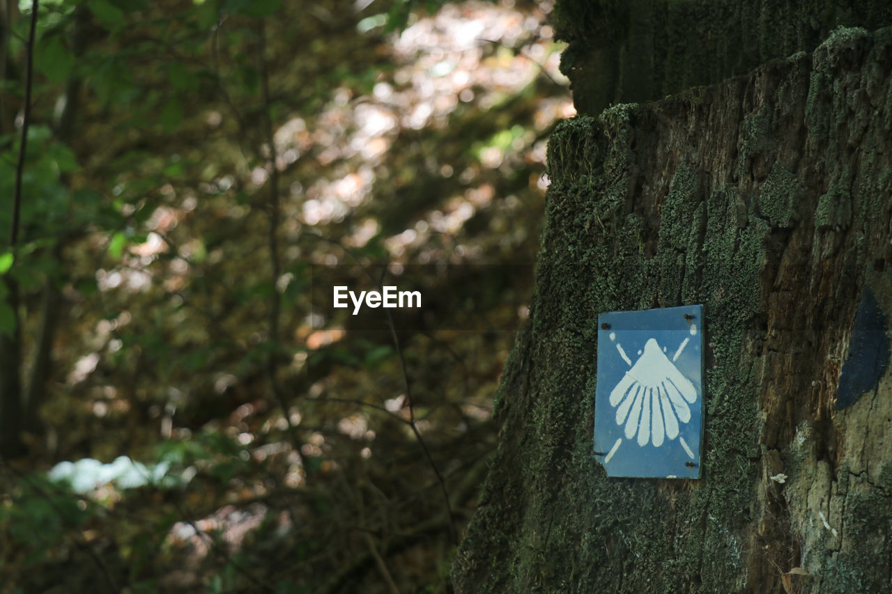 Close-up of sign on tree trunk