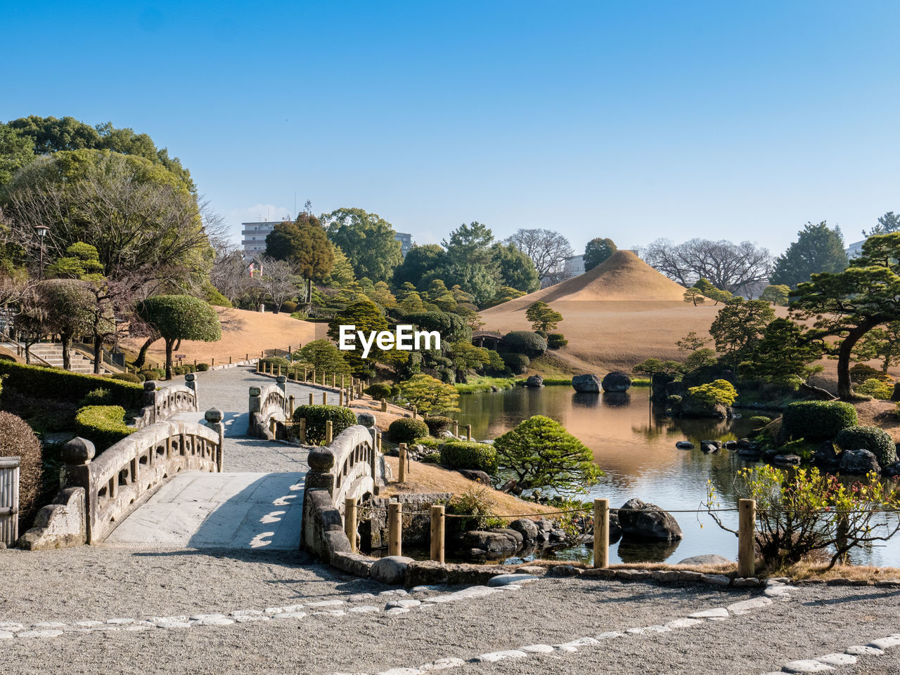 Scenic view of river by trees against clear sky