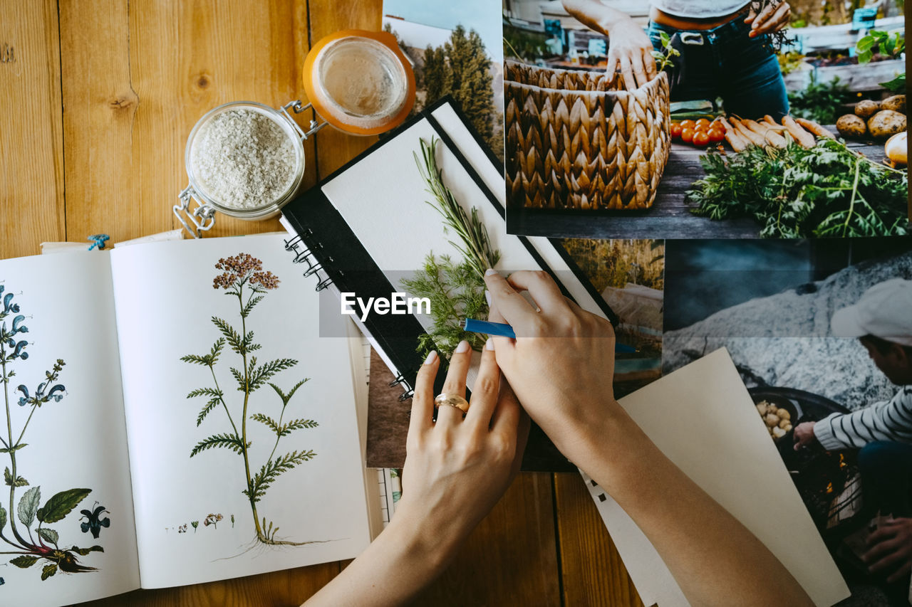 Hands of female food stylist arranging herbs on diary at table