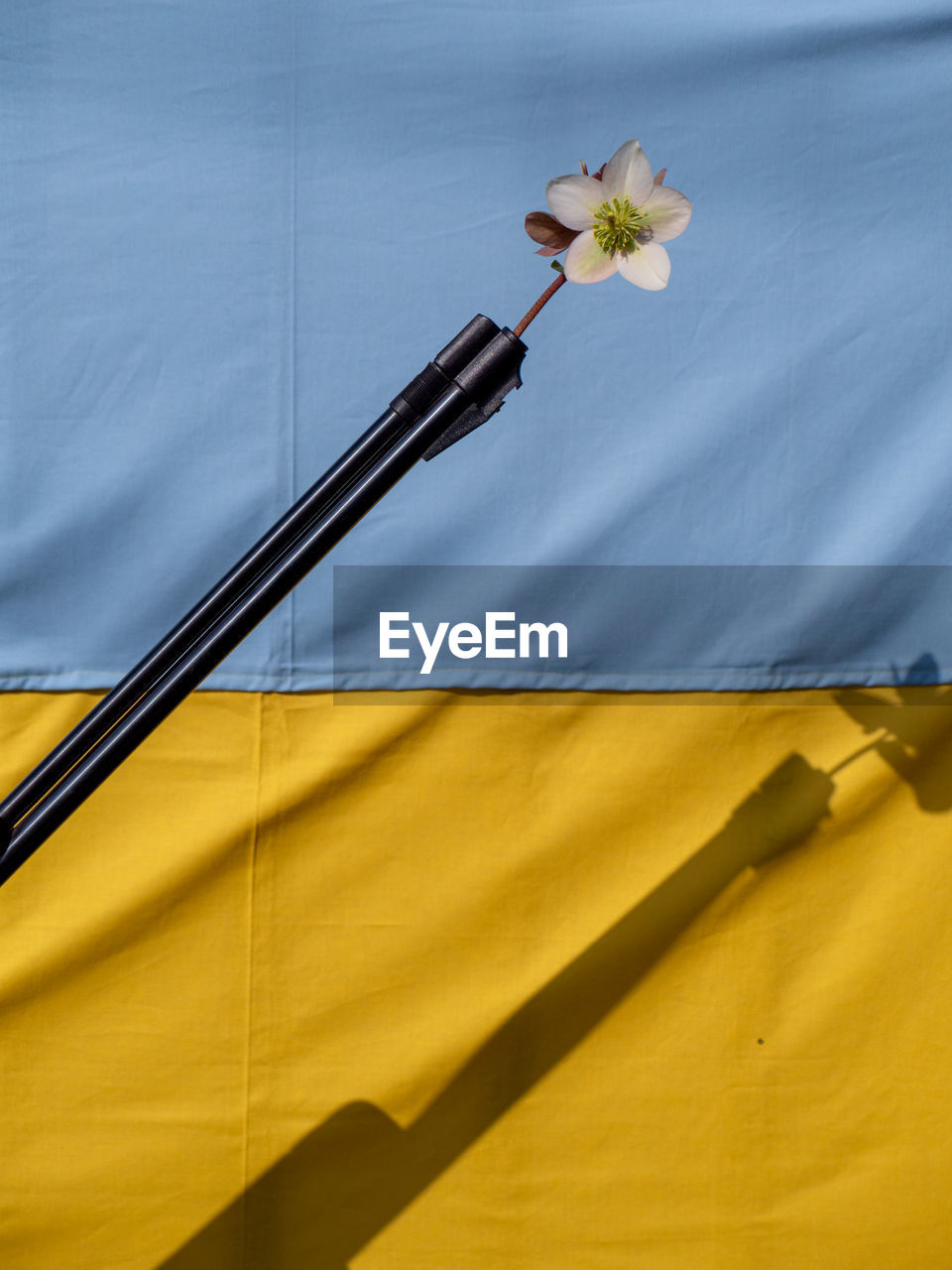 Ukrainian flag with shotgun with a white flower on the top - peace concept