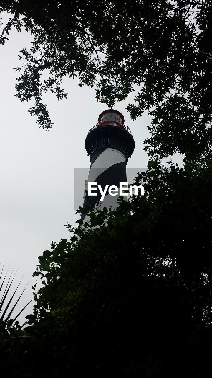 Low angle view of silhouette trees in front of st augustine light against clear sky