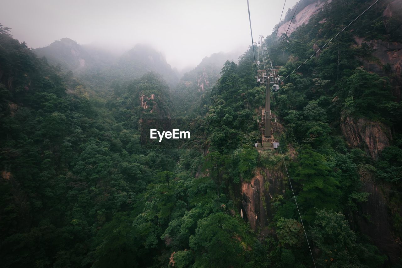 Overhead cable cars over mountains in forest