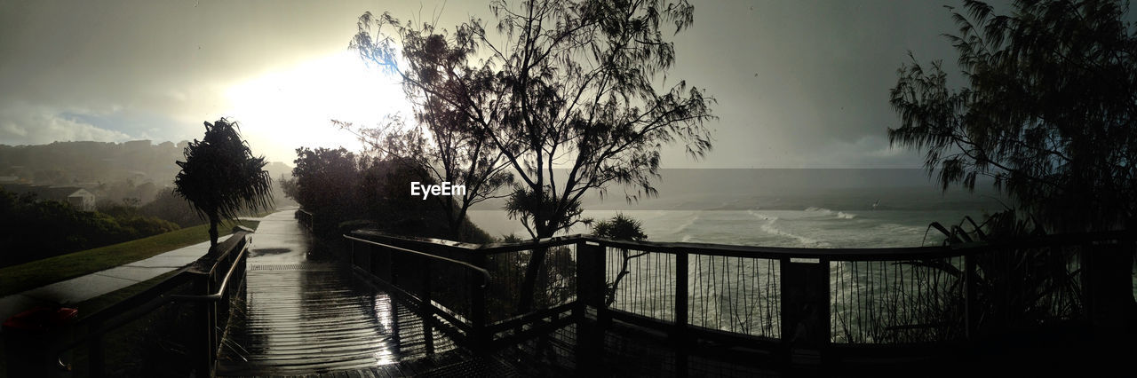 PANORAMIC VIEW OF TREES AGAINST SKY