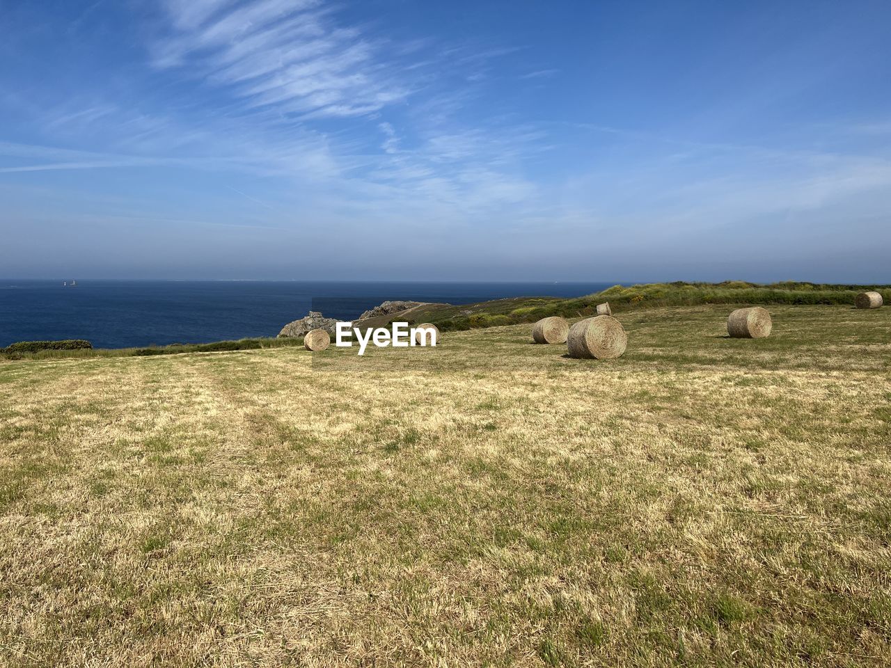 sky, land, nature, grass, landscape, grassland, environment, plant, pasture, scenics - nature, sea, hay, bale, cloud, horizon, beauty in nature, field, mammal, no people, agriculture, animal, blue, animal themes, tranquil scene, hill, water, rural scene, tranquility, livestock, meadow, domestic animals, group of animals, day, prairie, horizon over water, sheep, outdoors, coast, rural area, natural environment, non-urban scene, plain, farm, sunlight, pet, beach, steppe, idyllic, travel destinations, travel, summer, animal wildlife, plateau
