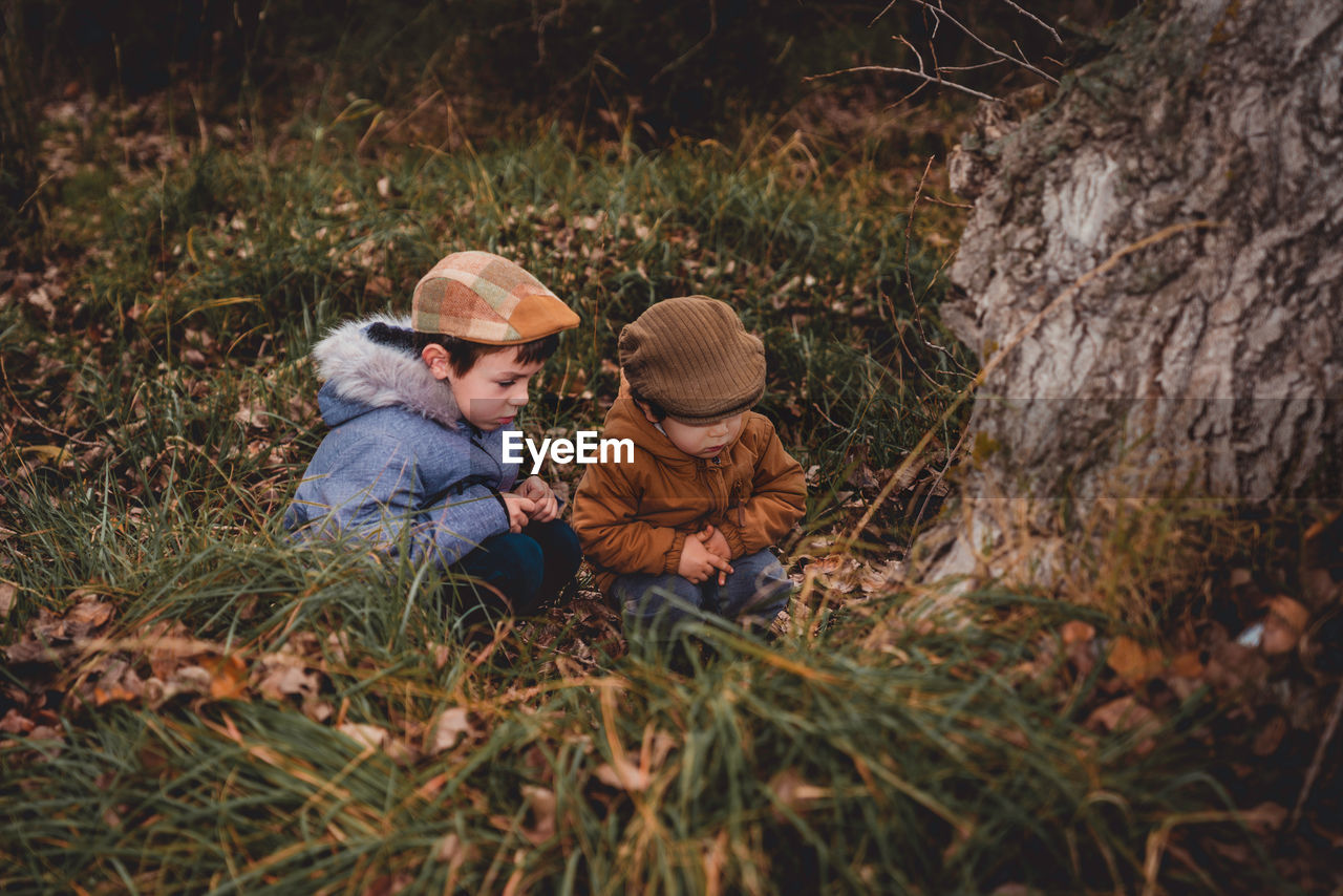 Two children lost in the field looking at a tree in the field with fallen leaves in autumn