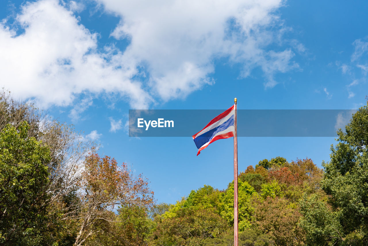 LOW ANGLE VIEW OF FLAG AMIDST PLANTS AGAINST SKY