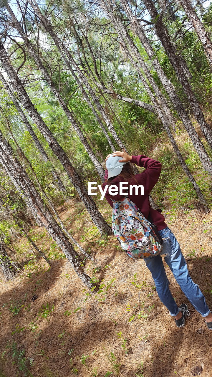 Rear view of woman standing in forest