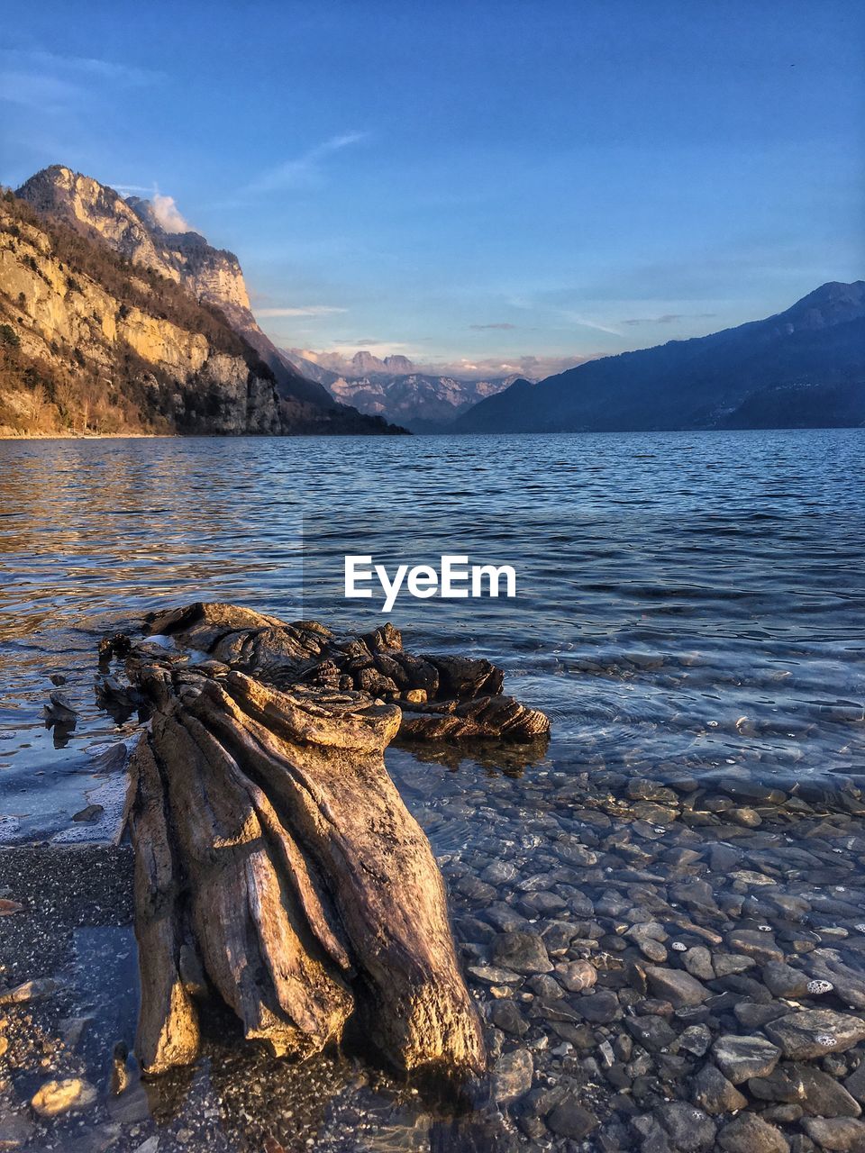 Driftwood on rock by lake against sky