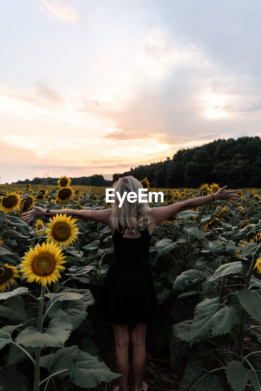 Rear view of woman standing amidst sunflowers against sky during sunset
