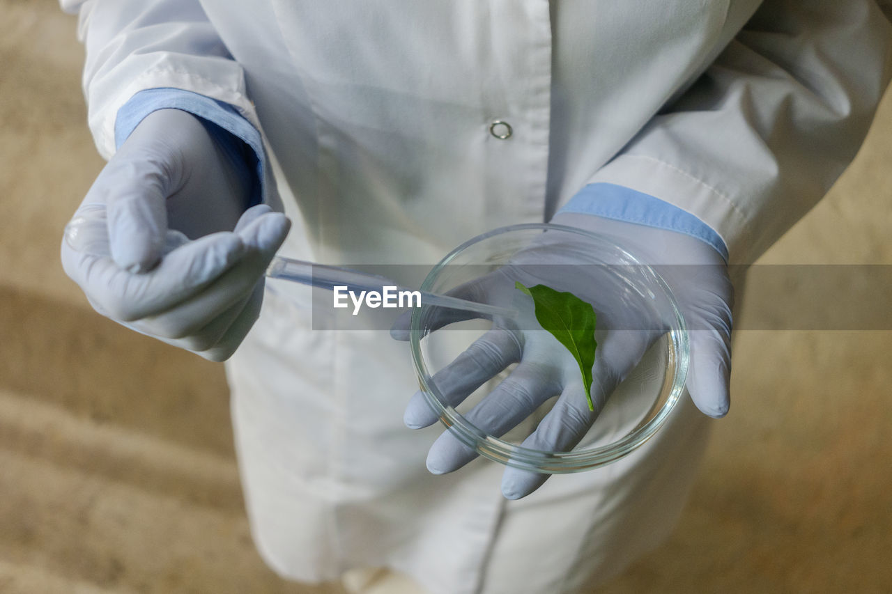 Midsection of scientist holding leaf in petri dish