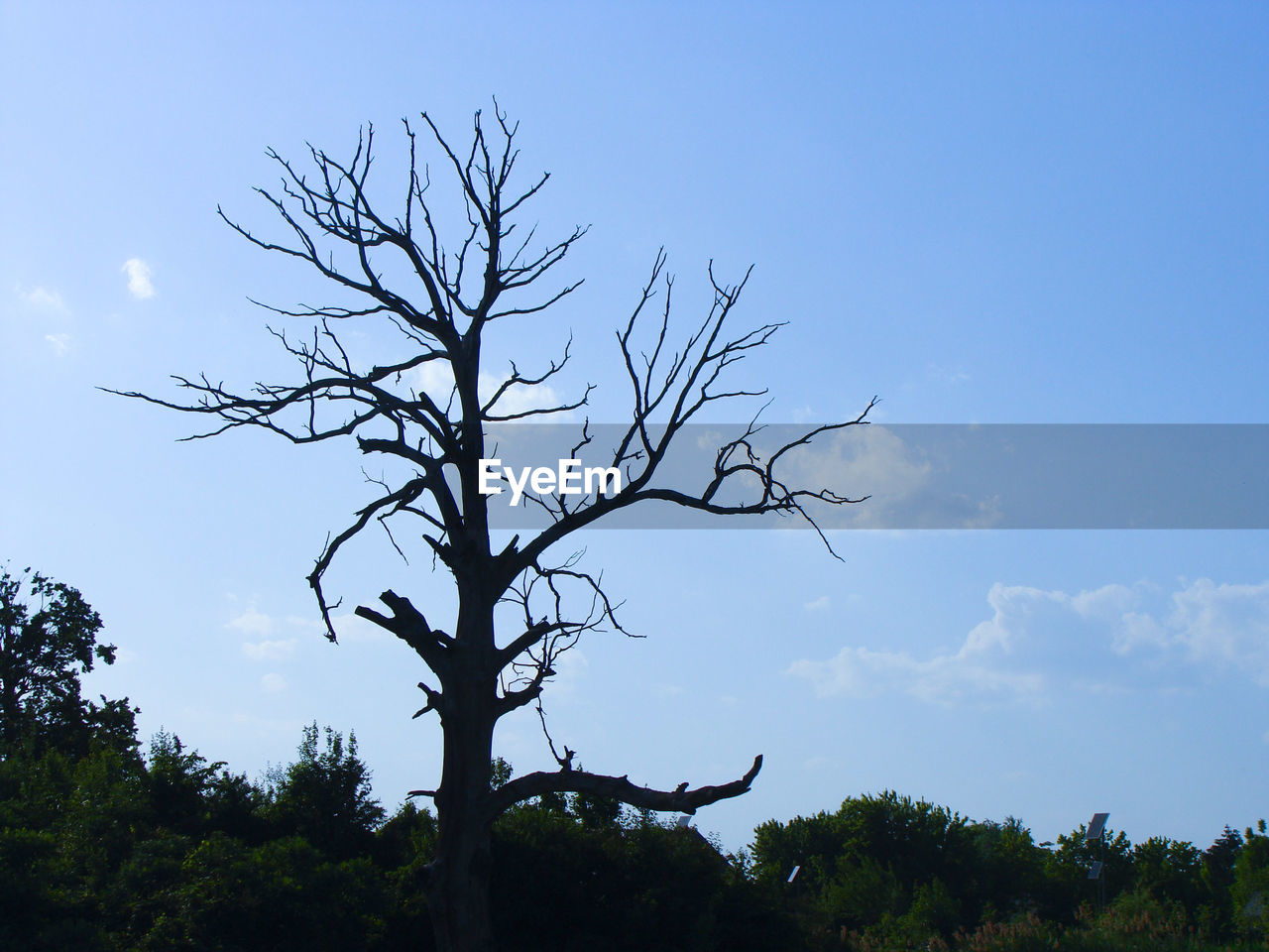 Low angle view of bare tree against cloudy sky