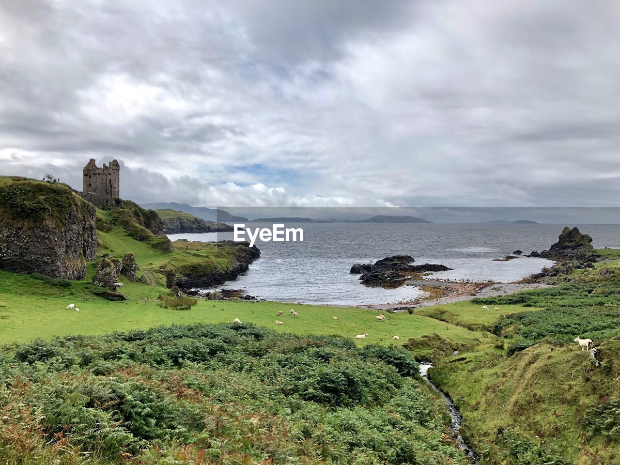 Scenic view of sea