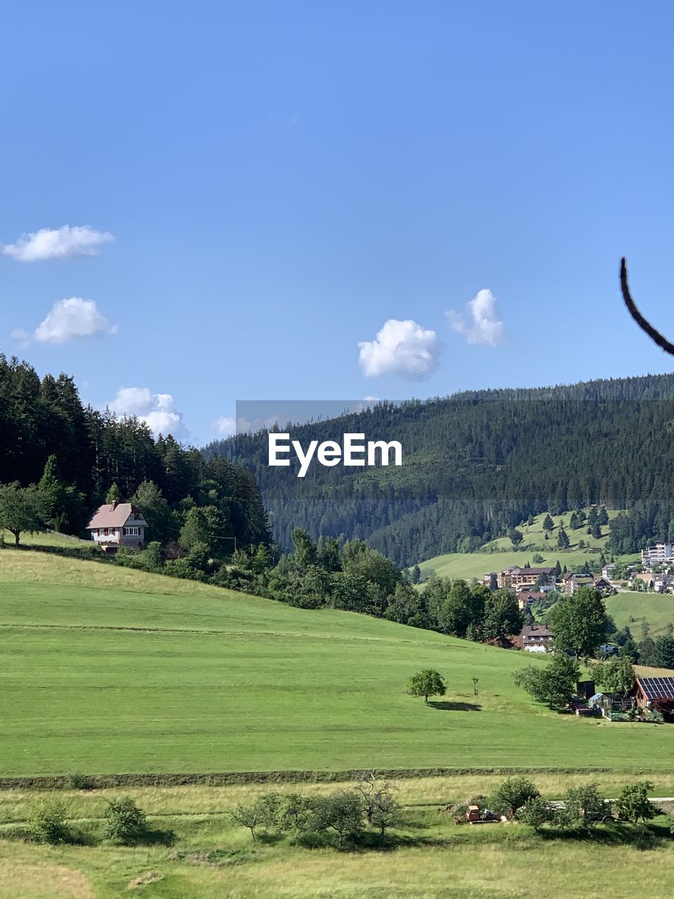 SCENIC VIEW OF GRASSY LANDSCAPE AGAINST SKY