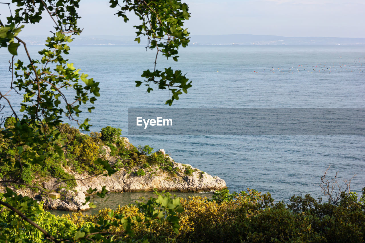 SCENIC VIEW OF SEA AGAINST TREES