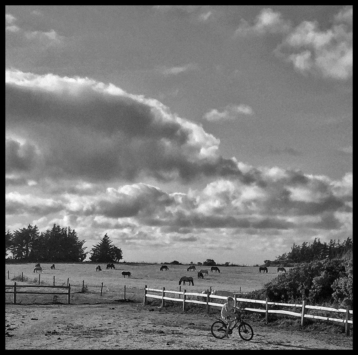 PEOPLE ON BEACH AGAINST SKY