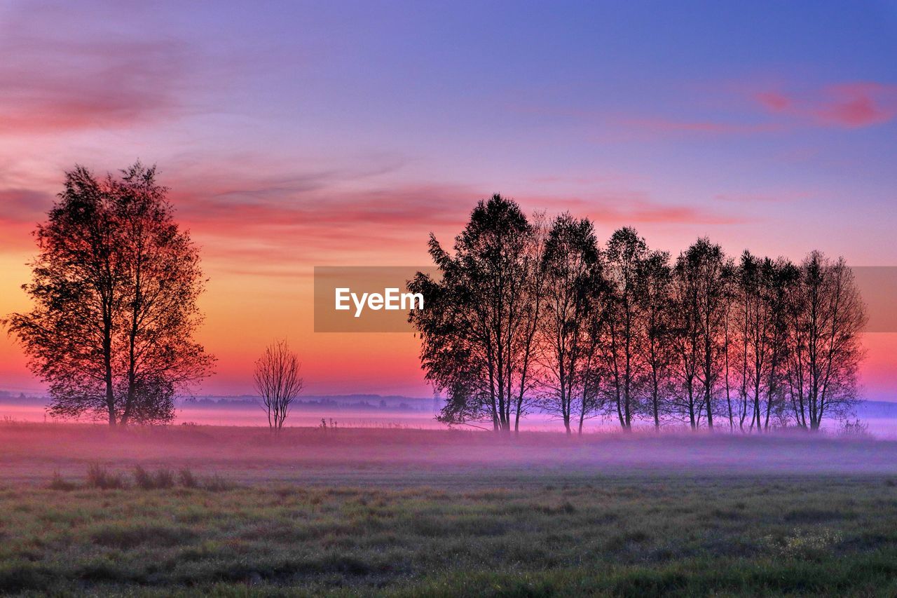 Trees on snow covered field against sky during sunset