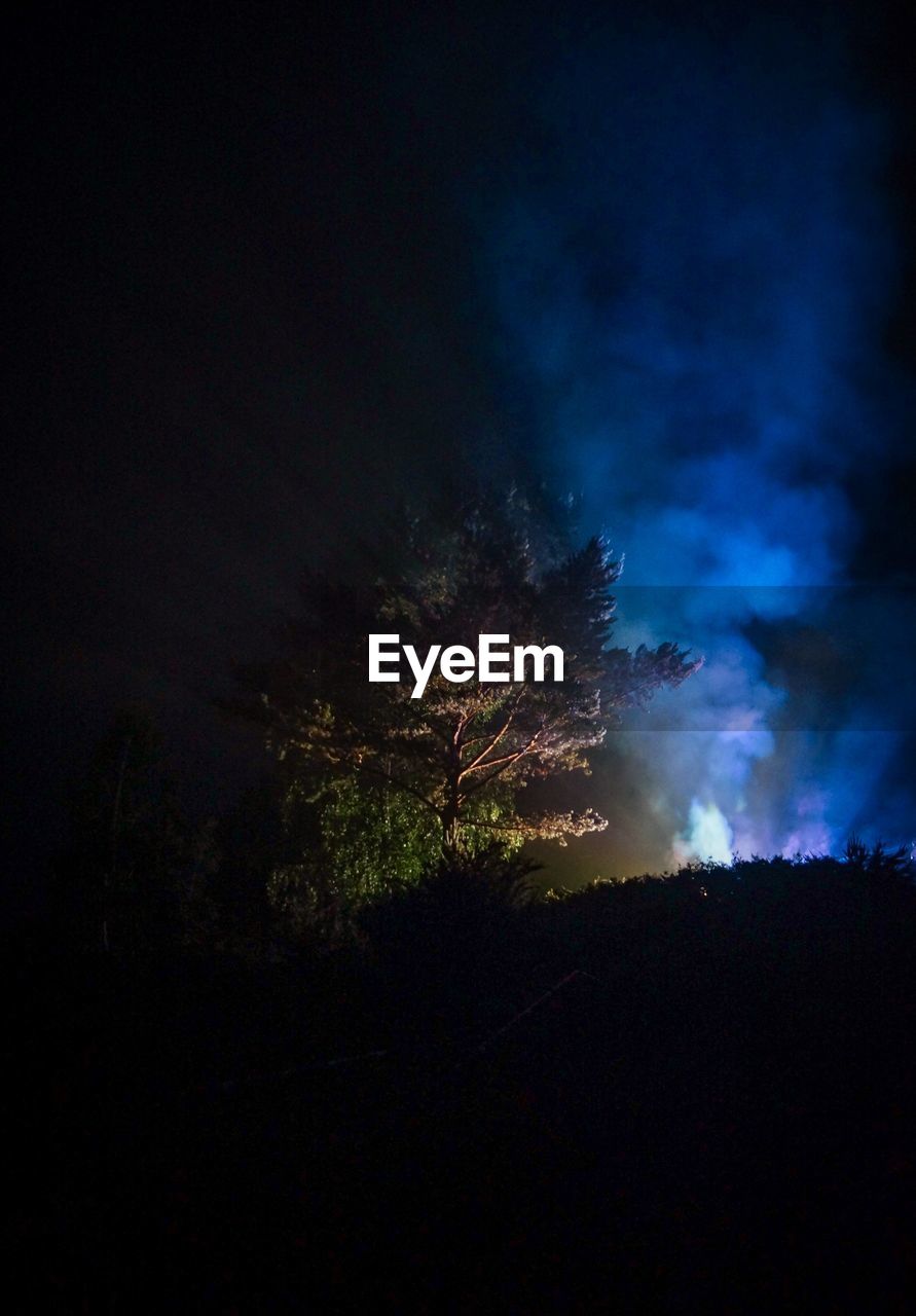 LOW ANGLE VIEW OF SILHOUETTE TREES AT NIGHT