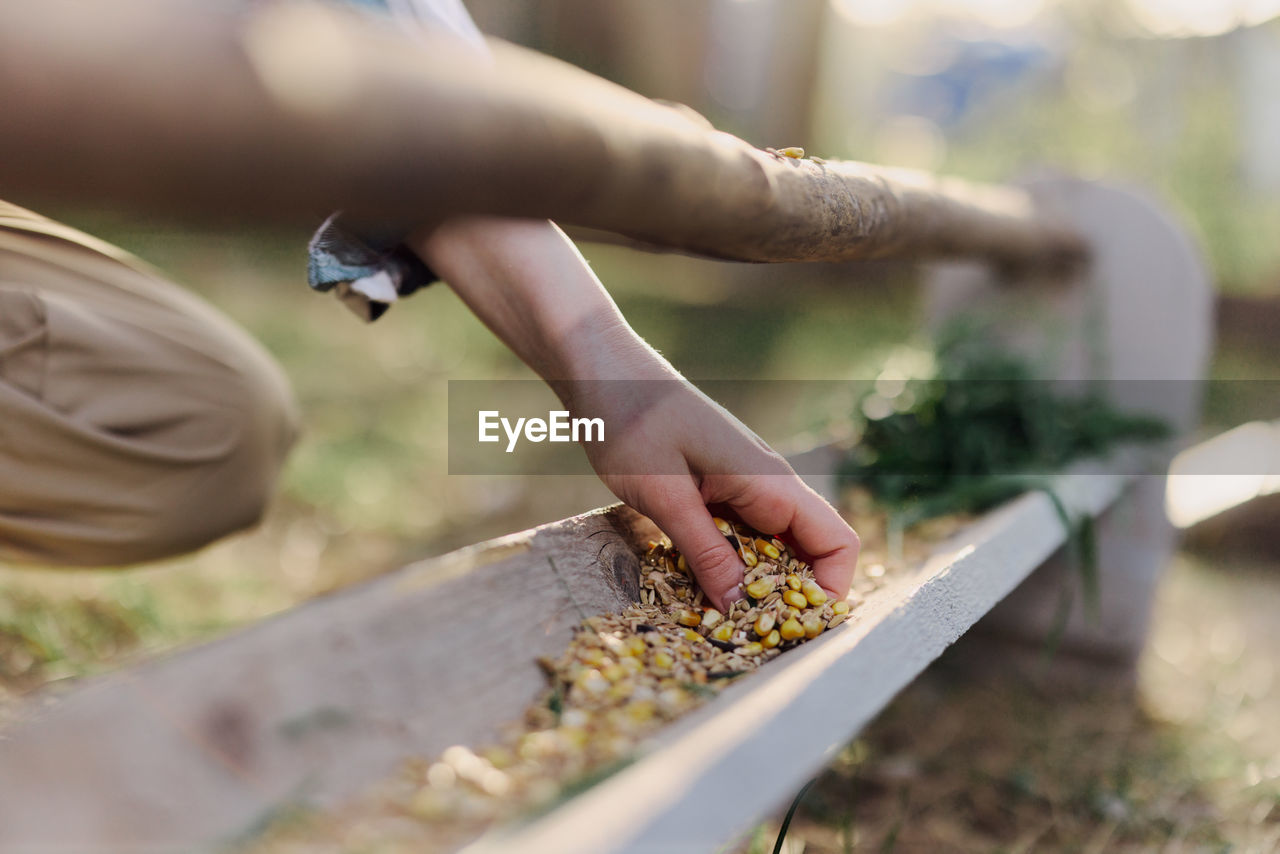 Cropped hand of man preparing food