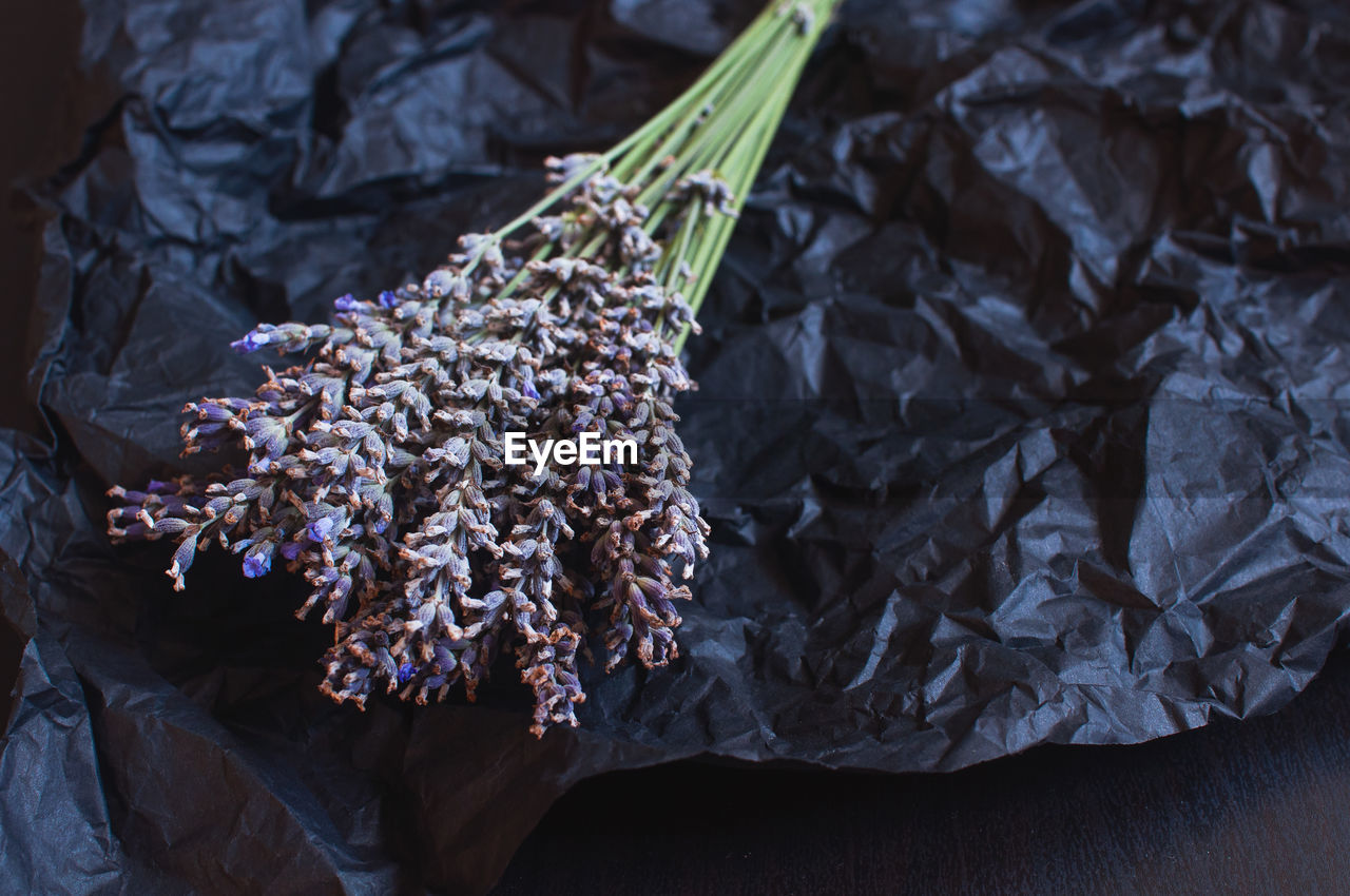 Bouquet of fragrant fresh lavander flowers on black crumpled wrapping paper background