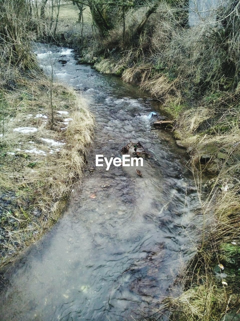 HIGH ANGLE VIEW OF DOGS SWIMMING IN RIVER